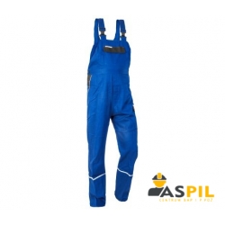 Spodnie robocze ogrodniczki Brixton Natur